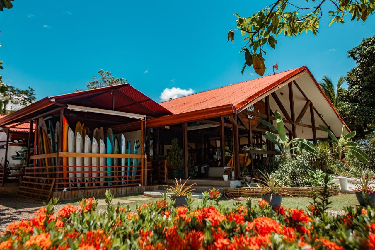 Surf Synergy All-Inclusive Surf Retreat 자코 외부 사진